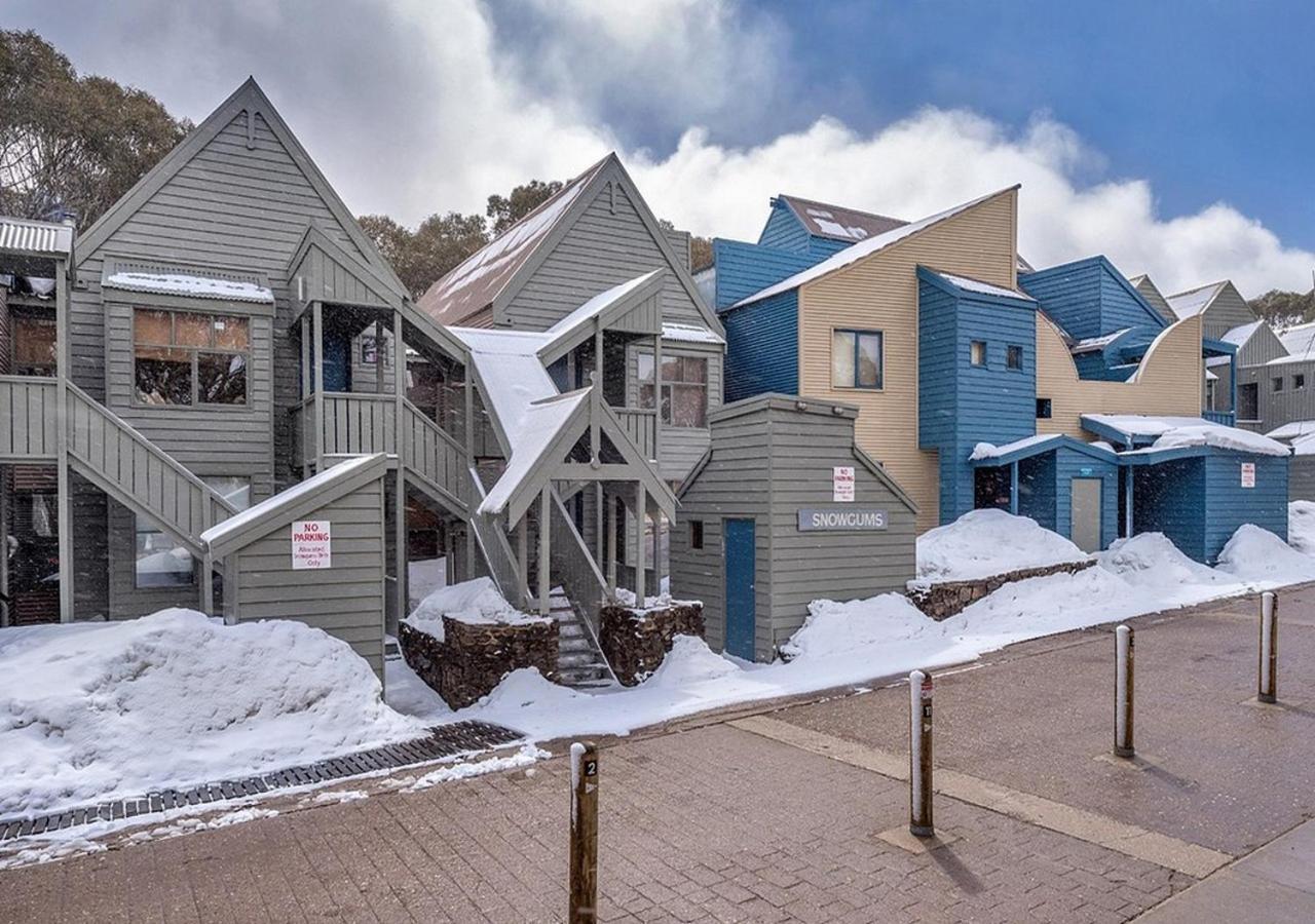 Апартаменты Snowgums 15 Диннер-Плейн Экстерьер фото